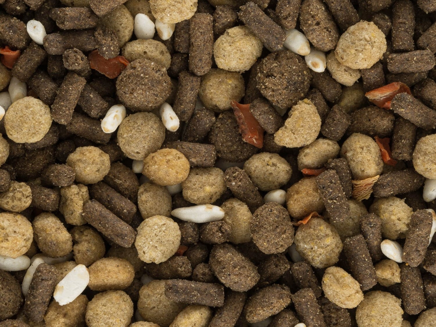 Detail granulí Iso-dog ADULT Dinner Kuře – textura a velikost granule