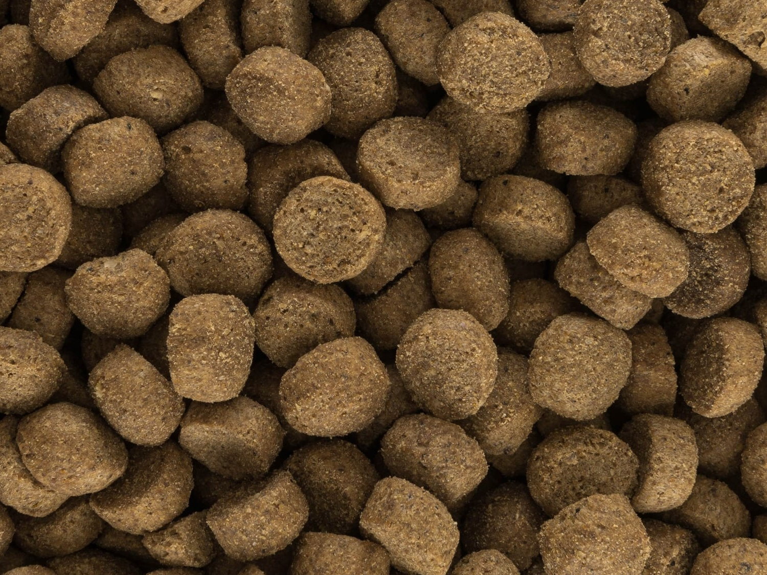 Detail granulí Iso-dog SENIOR Crackers Kuře – textura a velikost